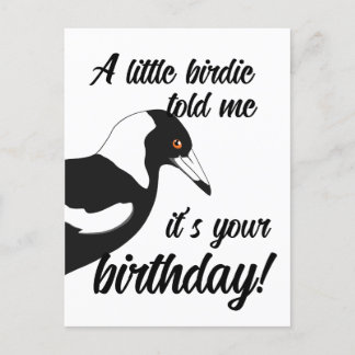 Postal Pássaro me contou que é o seu cartão de aniversári