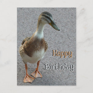 Postal Pato-Pato-Pato Bonito. Cartão de Aniversário Feliz