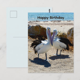 Postal Pelicanos Apaixonados, Cartão de Aniversário