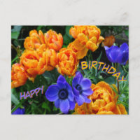Peony Tulips & Anemones Feliz Aniversário Cartão P
