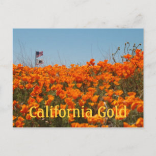 Postal Poppies California e Cartão de Posto de Bandeira A