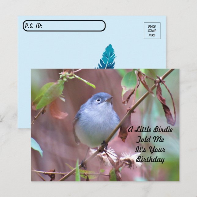 Postal Postcrossing Little Birdie Cartão de Aniversário (Frente/Verso)