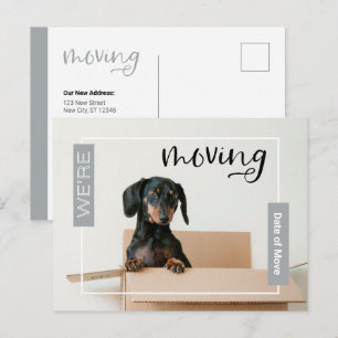 Postal Prata Estamos Movendo o Cão de Dachshund no Cartão