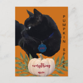 Postal Pumpkin Spice Tudo Belo Cartão de Gato Preto