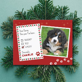 Postal Puppy Naughn ou Belo Cartão de Saudação de Natal