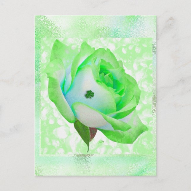 Postal Rosa irlandês e aniversário! Cartão (Frente)