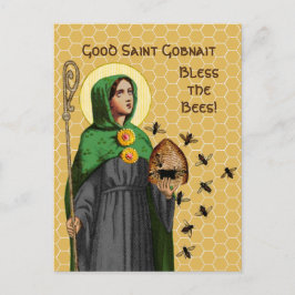 Postal Rua. Gobnait of Ballyvourney (SAE 003) Cartão post