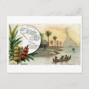 Postal Sandwich Islands, 1889 cartão de colheita