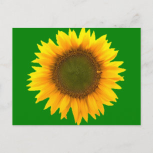 Postal Simbolismo do Cartão Poste de Luz