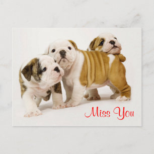 Postal Srta. Bulldog Cachorro-Cachorro Saudação Cartão