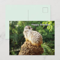 Suricata Com Alta Visão, Cartão de Aniversário