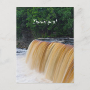 Postal Tahquamenon Rugindo Cartão de Agradecimento