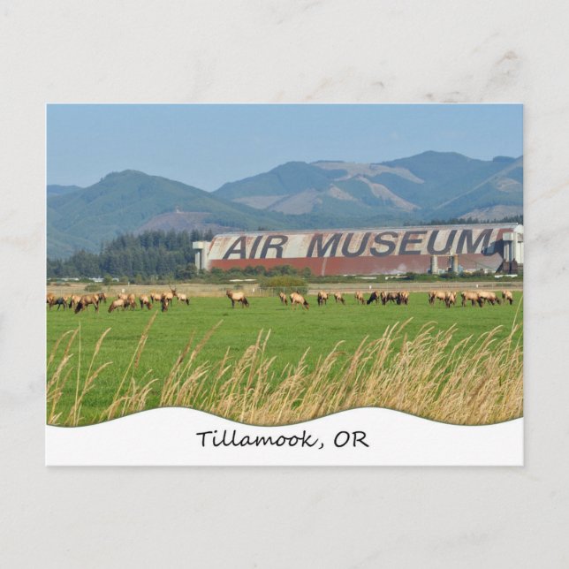 Postal Tillamook, OU cartão (Frente)