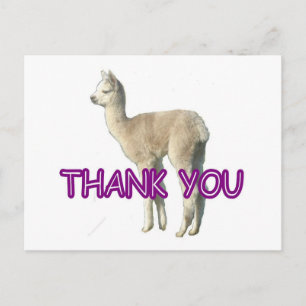 Postal Um cartão alpaca "Obrigado"