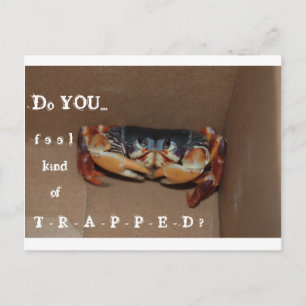 Postal Um cartão engraçado para animar um amigo...