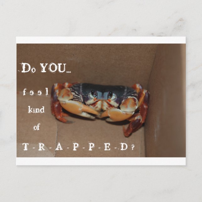 Postal Um cartão engraçado para animar um amigo... (Frente)