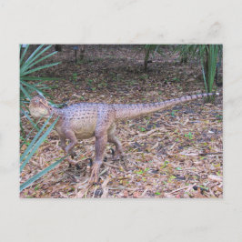 Postal Velociraptor - Dinossauro - Cartão de Aprendizado