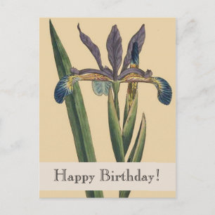 Postal Vintage Botanicals Iris Cartão de Aniversário