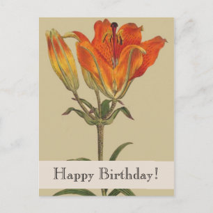 Postal Vintage Botanicals Lily Happy Aniversário Cartão