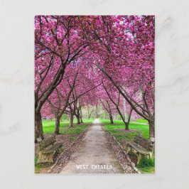 Postal West Chester Everhart Park - Cartão de Posto