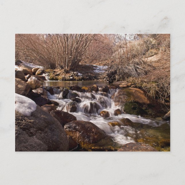 Postal Whitney Potrtal Waterfall, Cartão da Califórnia (Frente)