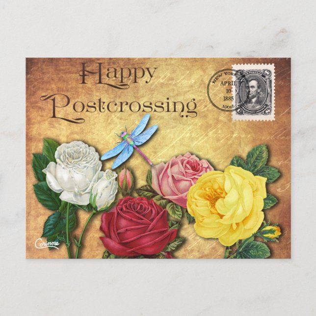 Postcross Dragonfly - Cartão postal (Frente)