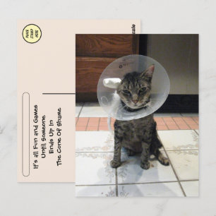 Postcrossing Cone da Vergonha - Cartão Postal de M