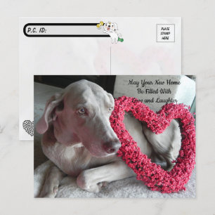 Postcrossing Novo Lar Parabéns Cartão Postal