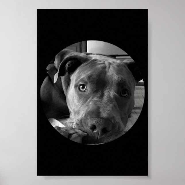 Poster (Frente)