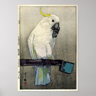 Poster オウム do ・ do キバタン, cockatoo Enxofre