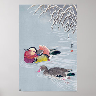 Pôster オシドリ, pato de mandarino do 小原古邨, O