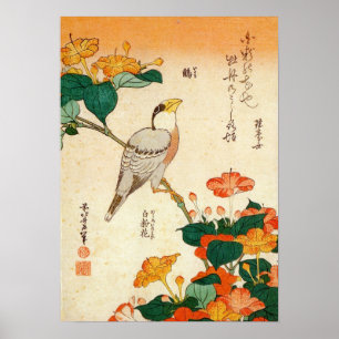 Pôster オシロイバナに小鳥, pássaro do 北斎 e