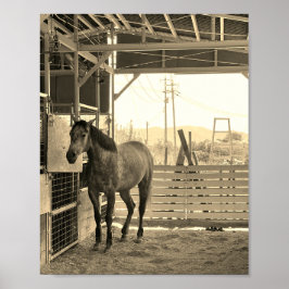 POSTER ケイメイ牧場　グラマーちゃん　まるで置き物