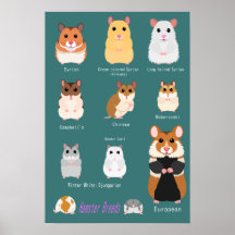 ハ ム ス タ 種 の 類 一 覧