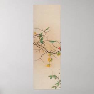 Pôster メジロ, 速水御舟, Branco-Olho japonês, Gyo