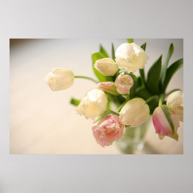 Pôster ュリ Partes プ (Frente)