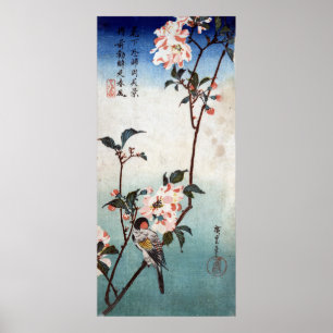 Poster 八重桜に鳥, flor de cerejeira do 広重 & pá