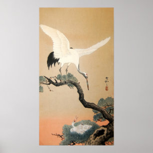 Pôster 松に鶴, guindaste do 古邨 no pinheiro, Koson,
