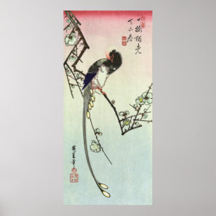 Pôster 梅に尾長鳥, árvore de ameixa do 広重 e pá
