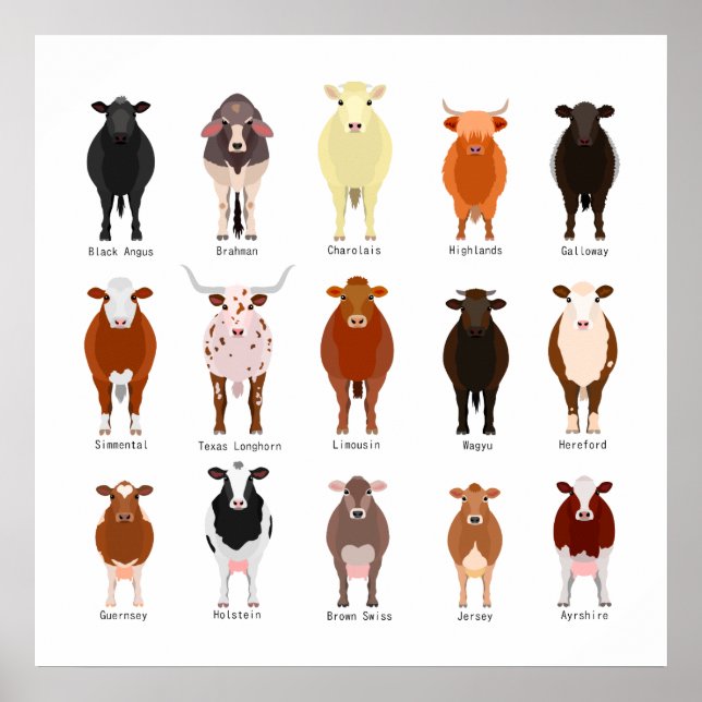 POSTER 牛 の 種 類 覧 一 (Frente)