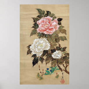 Pôster 牡丹, peônia do 其一, Kiitsu, arte de Japão