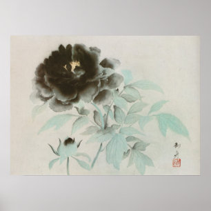 Poster 牡丹, peônia do 速水御舟, Gyoshū, arte de