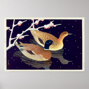 Pôster 真鴨, patos do pato selvagem, Hasui Kawase, Wood
