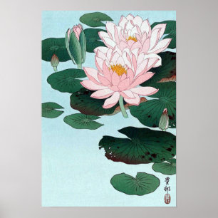 Pôster 睡蓮, lírio de água do 古邨, Koson, Ukiyo-e
