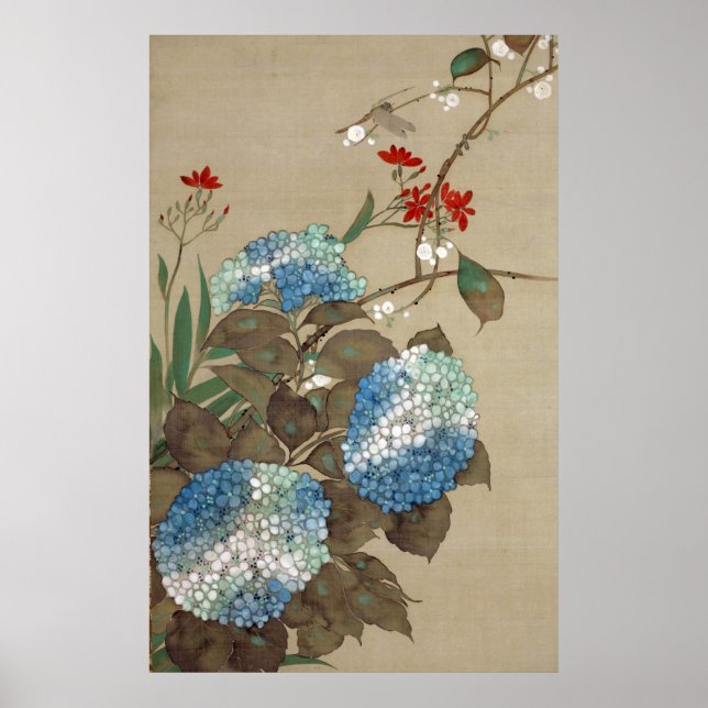 Poster 紫 陽 花 と ン ト ボ, 抱 Hydrangea e Dragonfly, Hōitsu (Frente)