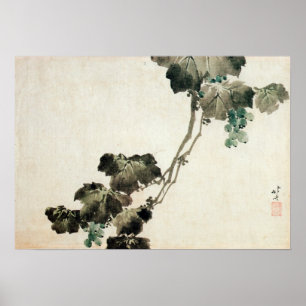 Pôster 葡萄, uva do 北斎, Hokusai