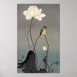 Poster 蓮にカワセミ, martinho pescatore em Lotus, K