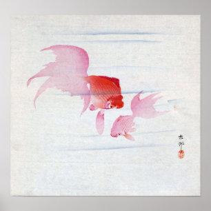 Poster 金 魚, 古 邨 Par de Peixe Goldfish, Koson, Ukiyo-e, Wo