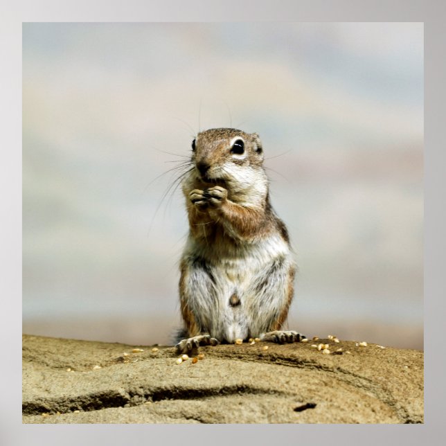 PÔSTER 005 (Frente)