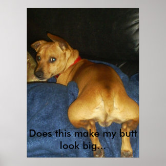 Poster 042, isso faz meu bumbum parecer grande...